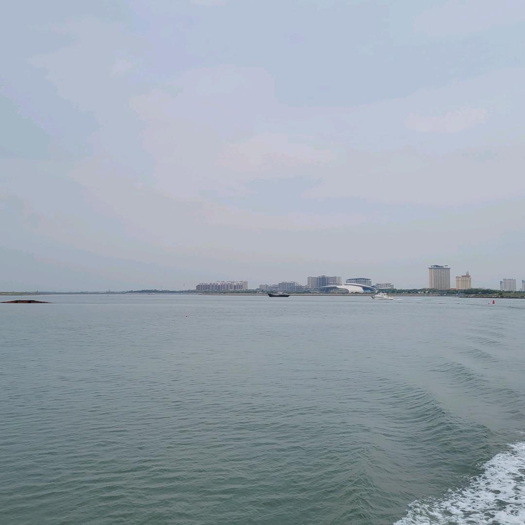吃草的狼