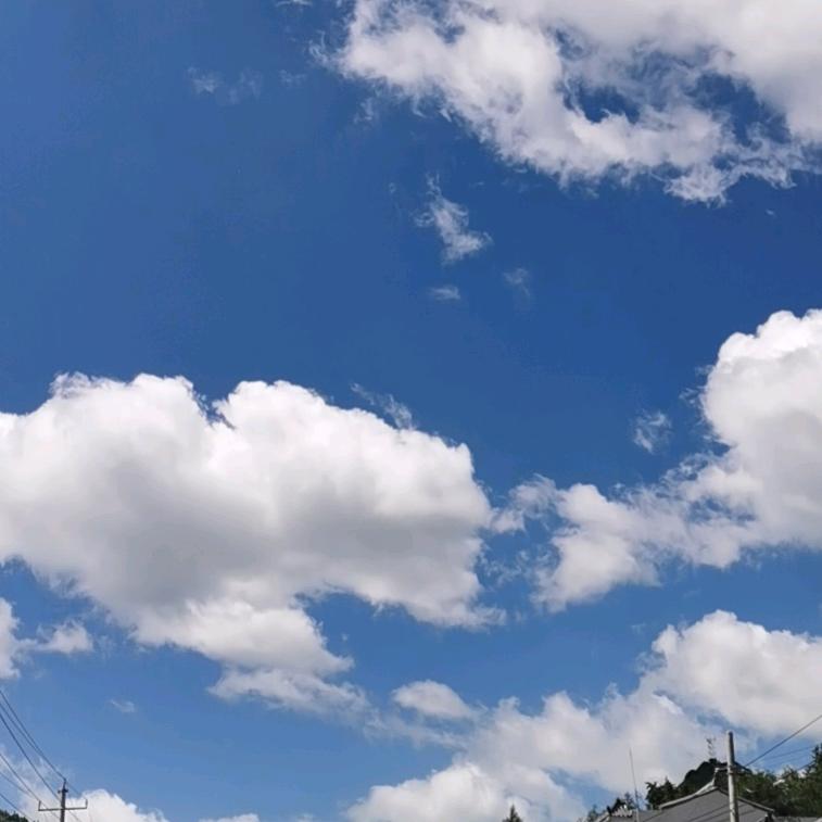 太阳☀️sun196372749