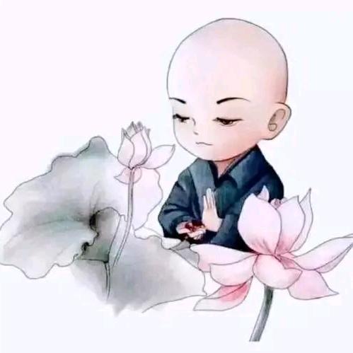 A老朋友
