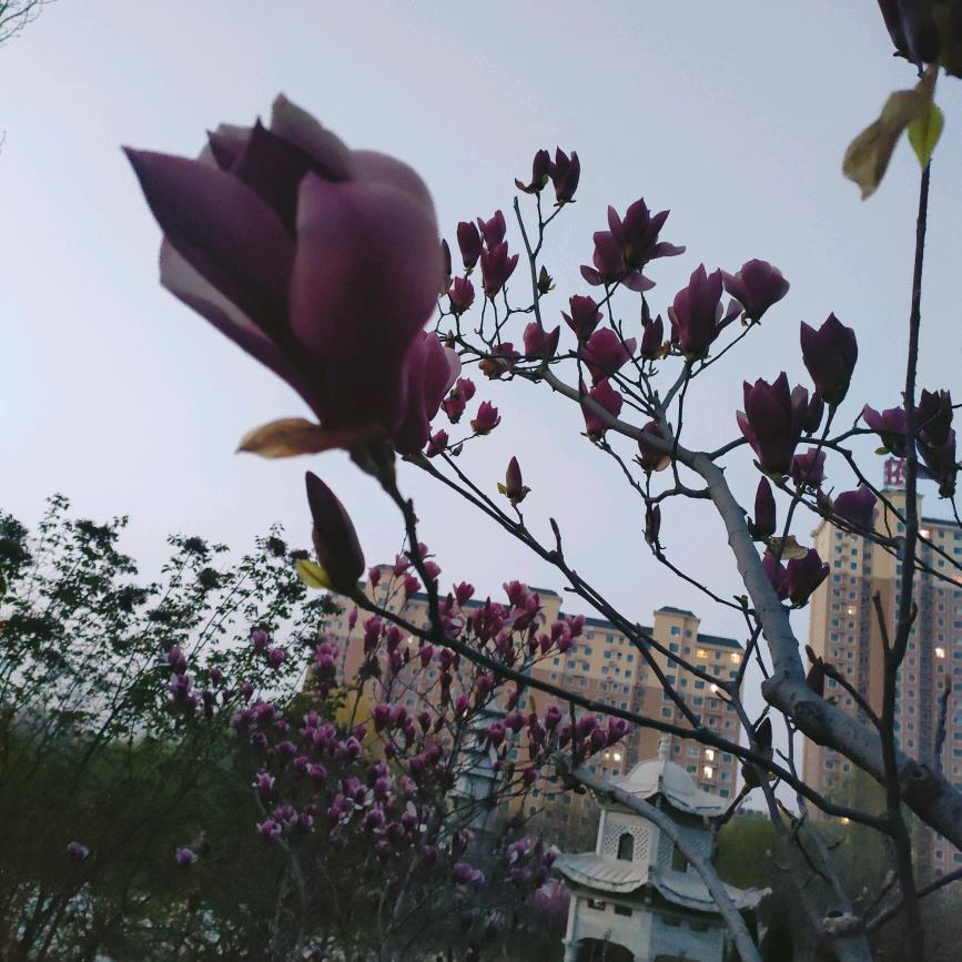优佳