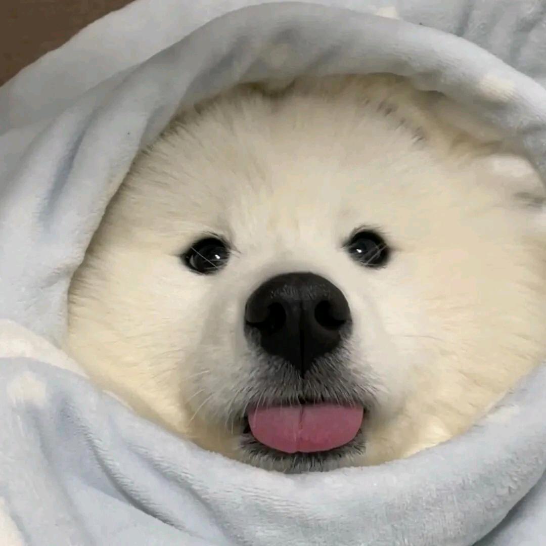 AAA心如静水
