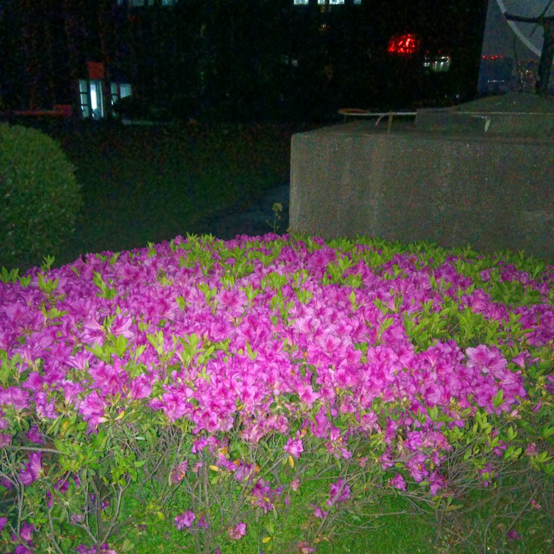 跑江湖