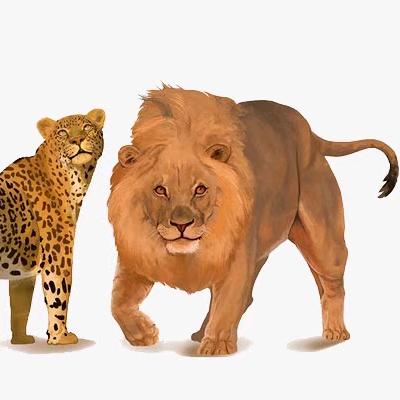 宇车有缘(内蒙包头)