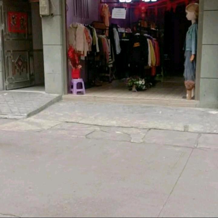 长期收大猪小猪价格合里