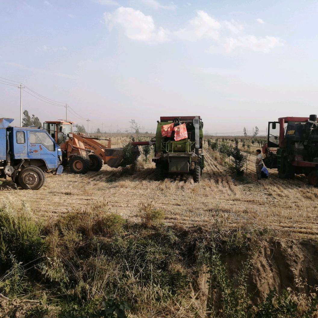 菏泽市半亩田农业托管中心