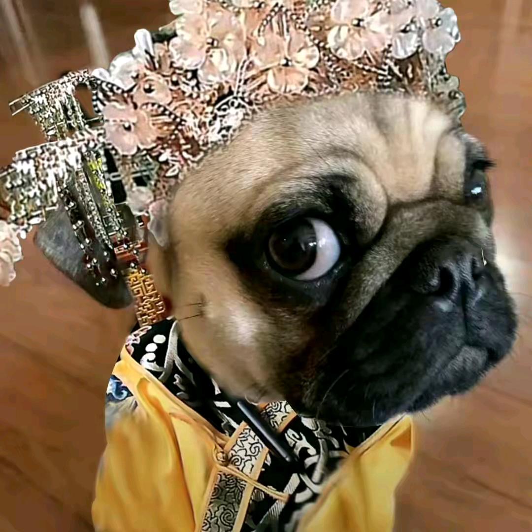 🌈🌈🌈笑一个