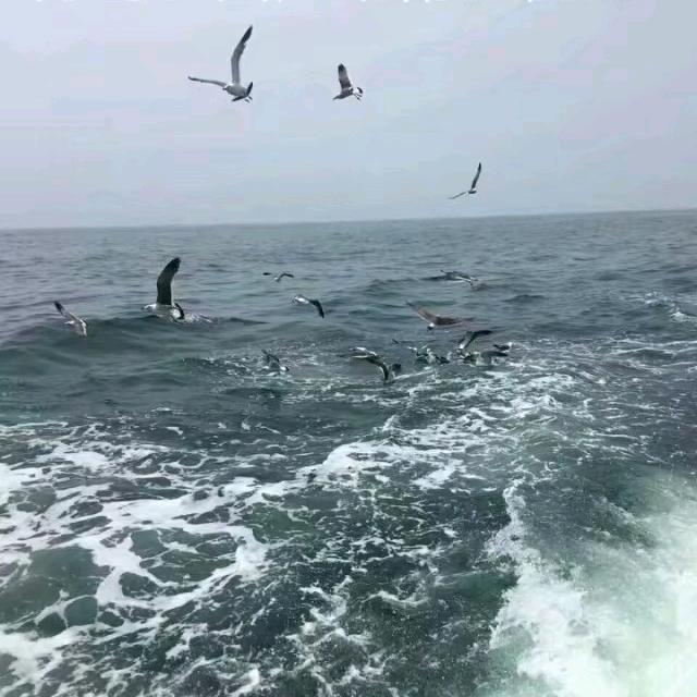 海之蓝