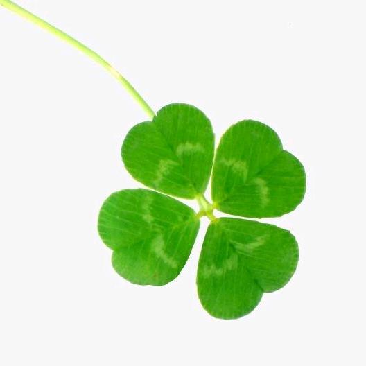 小娟🍀