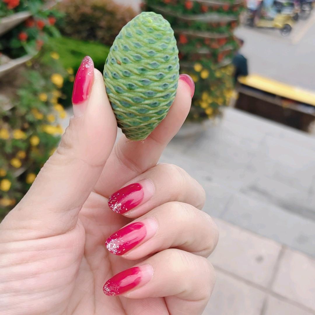 封心 锁爱