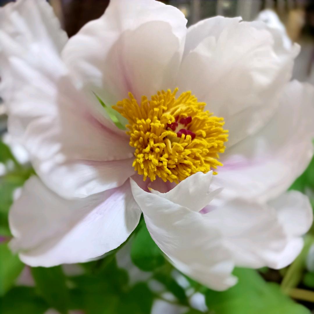 🍀不点赞少看🌻🌻🌻