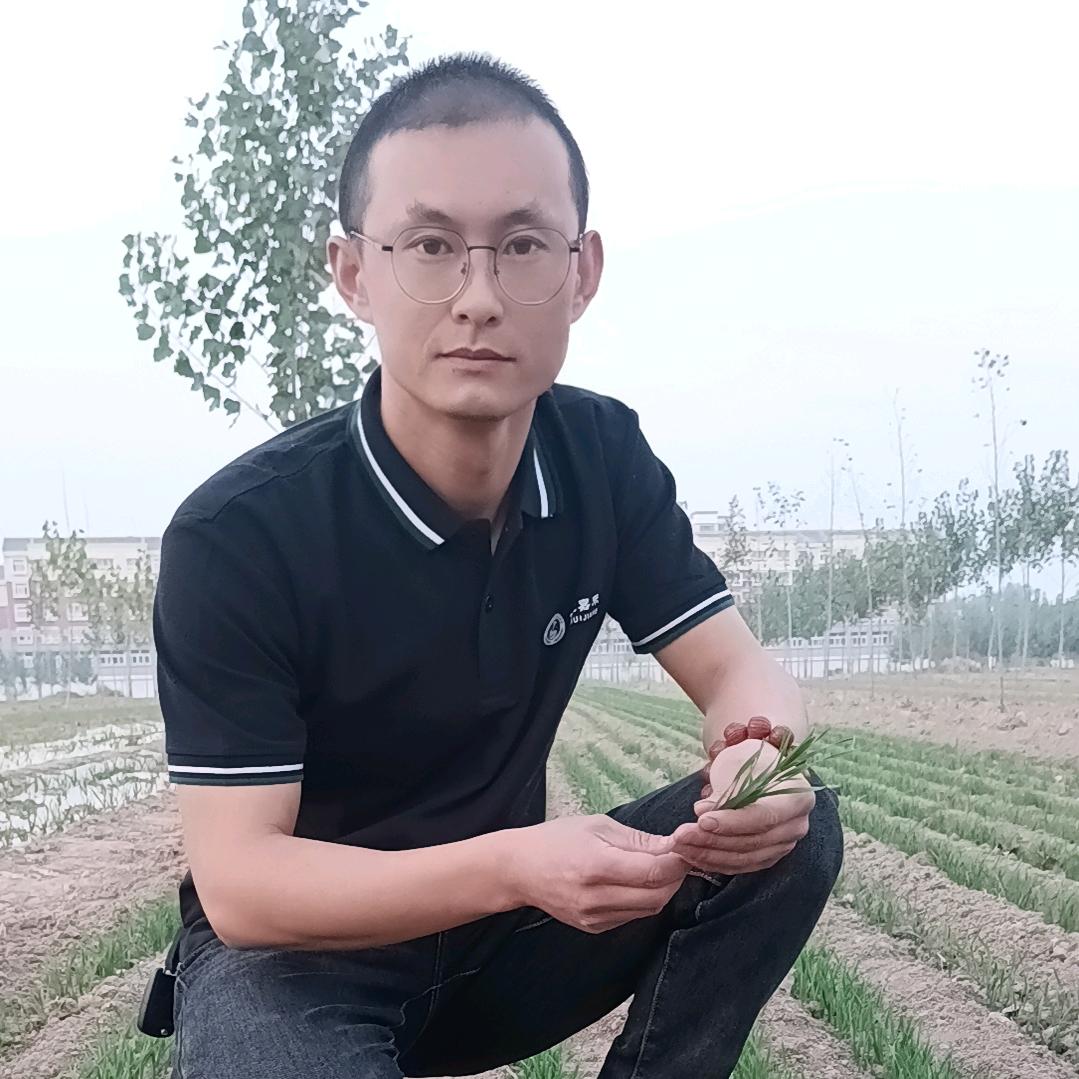 柳林镇显科种业