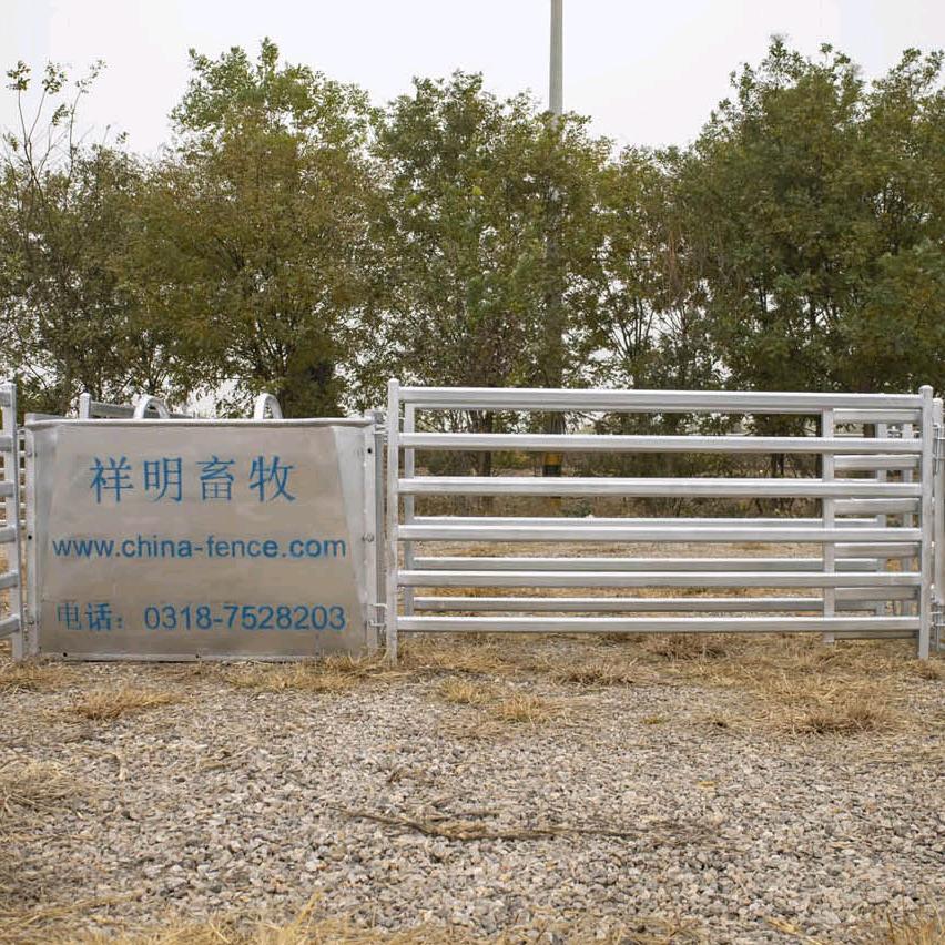 迷糊XIAO