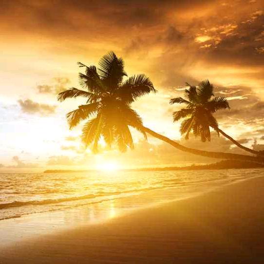 放养野山猪批发零售老金