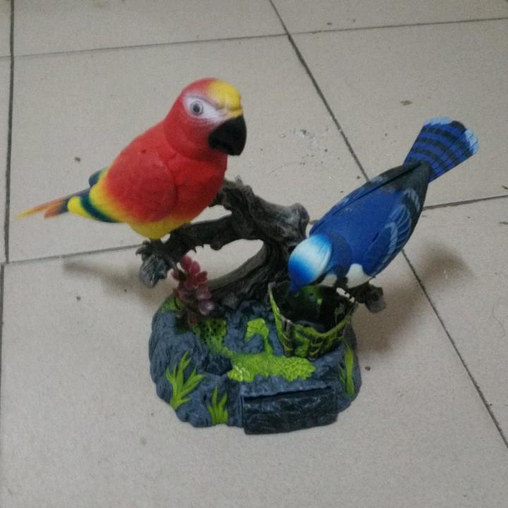 坚强哥龚