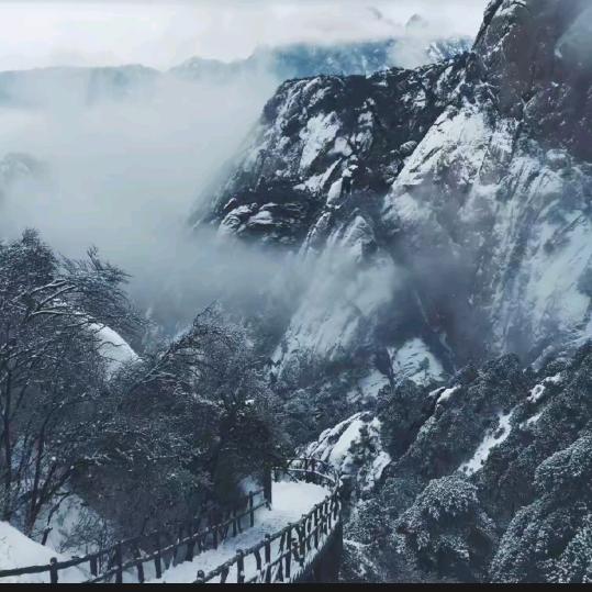 信天翁