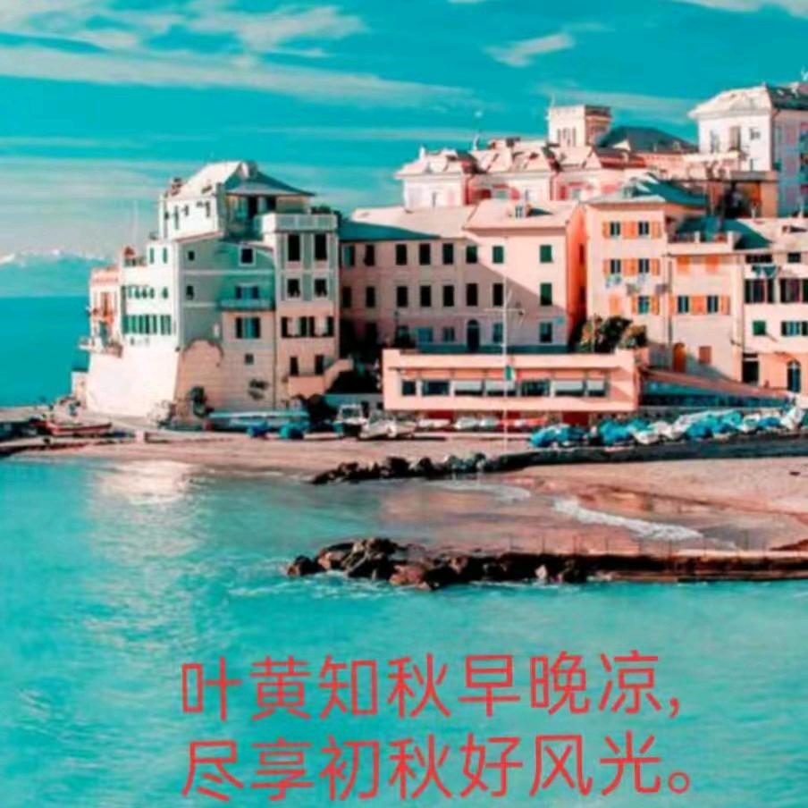 DAYT0Y羊村懒大王