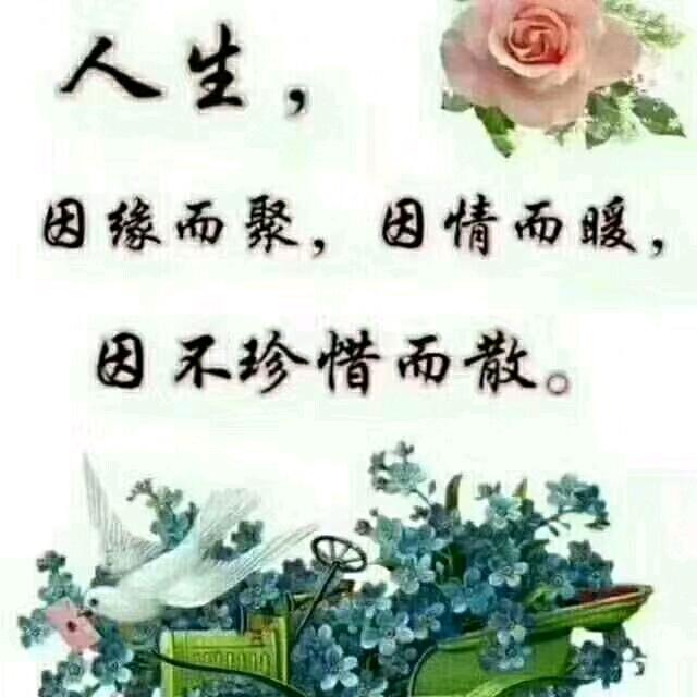 阿凤