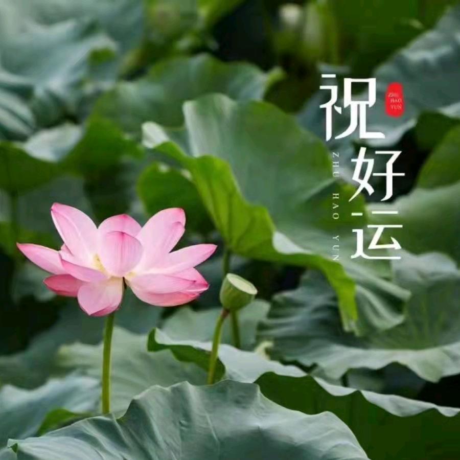 宏诚卤味坊