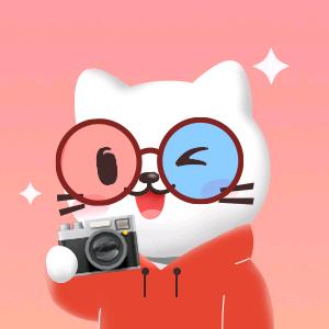 猫眼带你玩