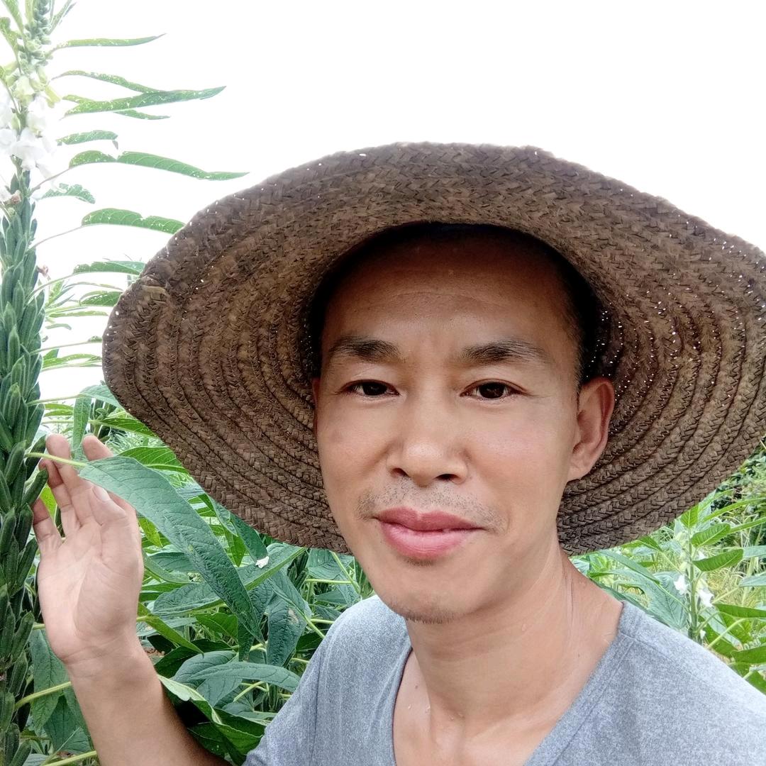 @老汪（是个农民）