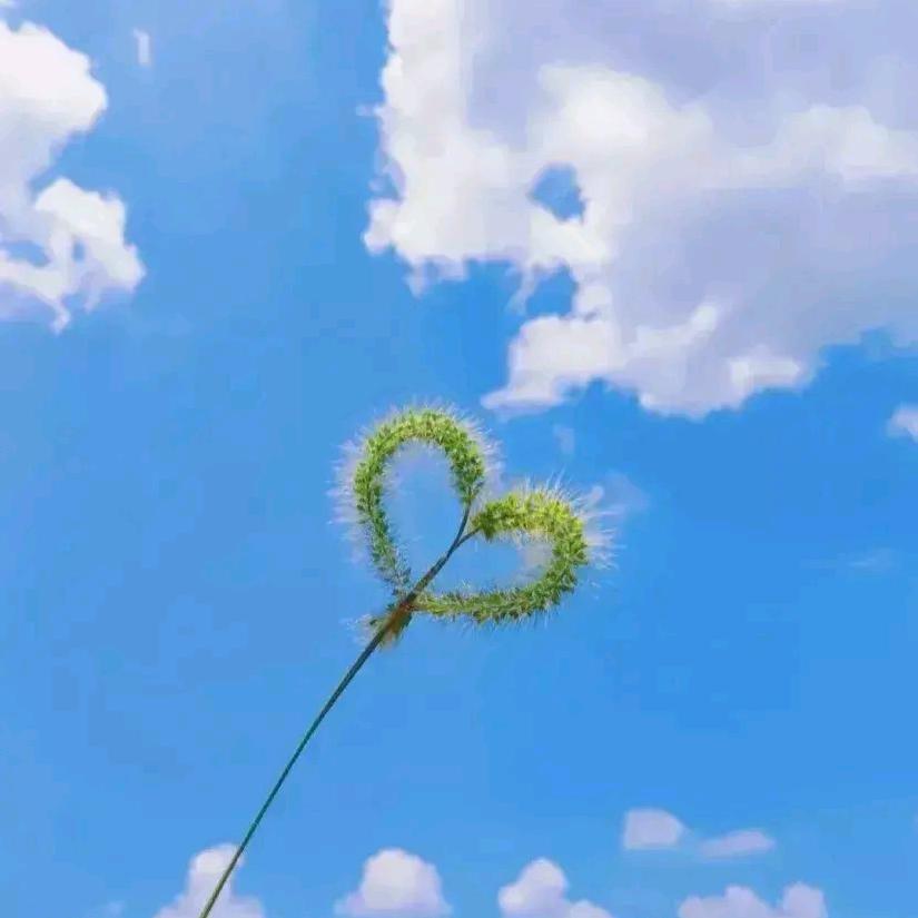 俩个娃