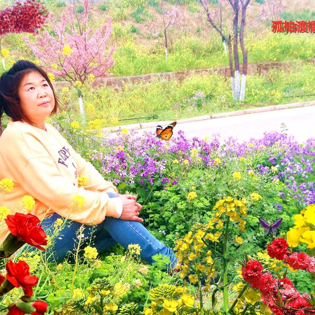 荥阳市玉洲水果精选小铺