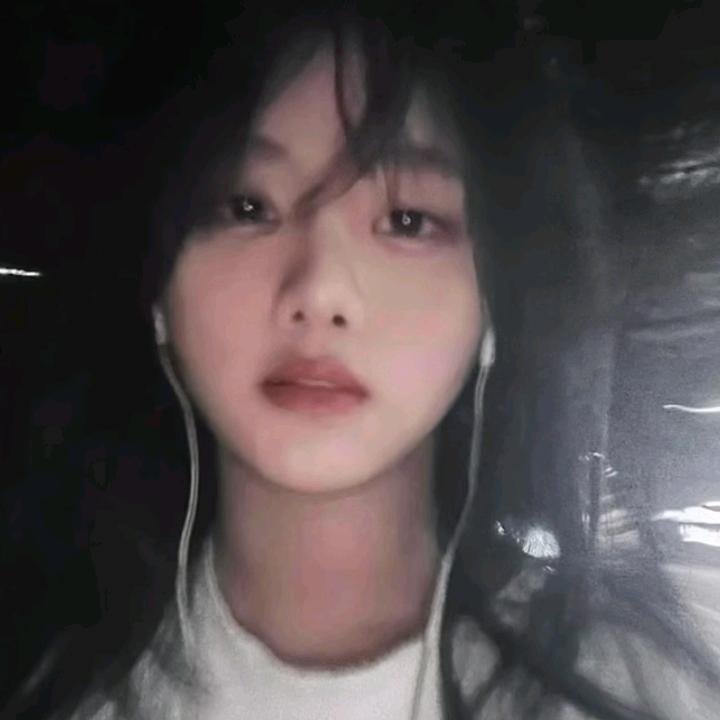 丹青提