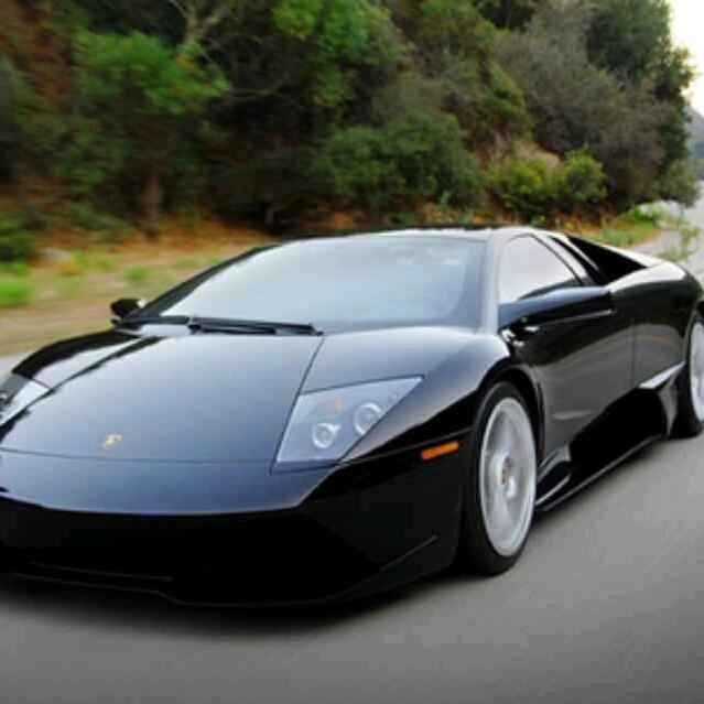 🌴🚀乐爷🚀🌴