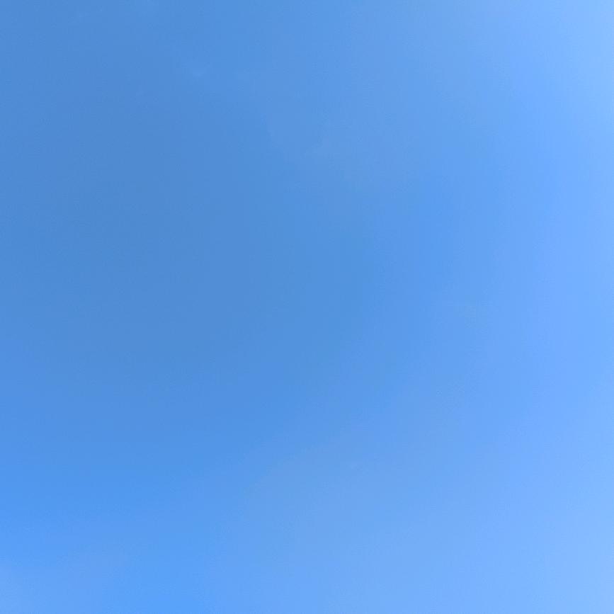 橙子319