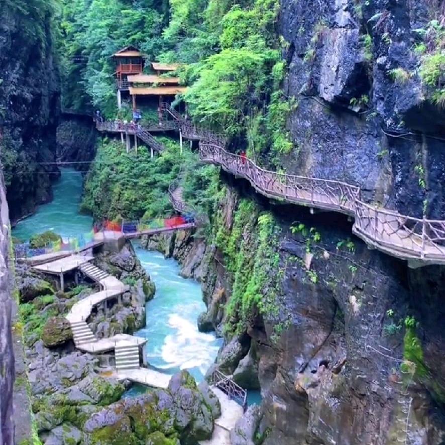 一生有你