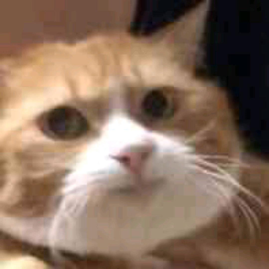 pai