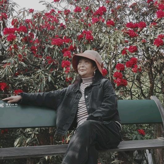 李大姐