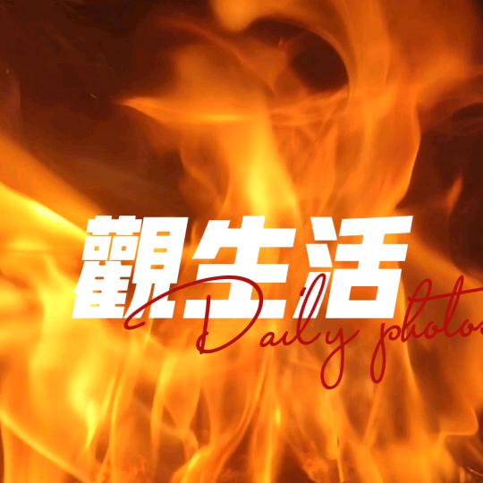 观生活