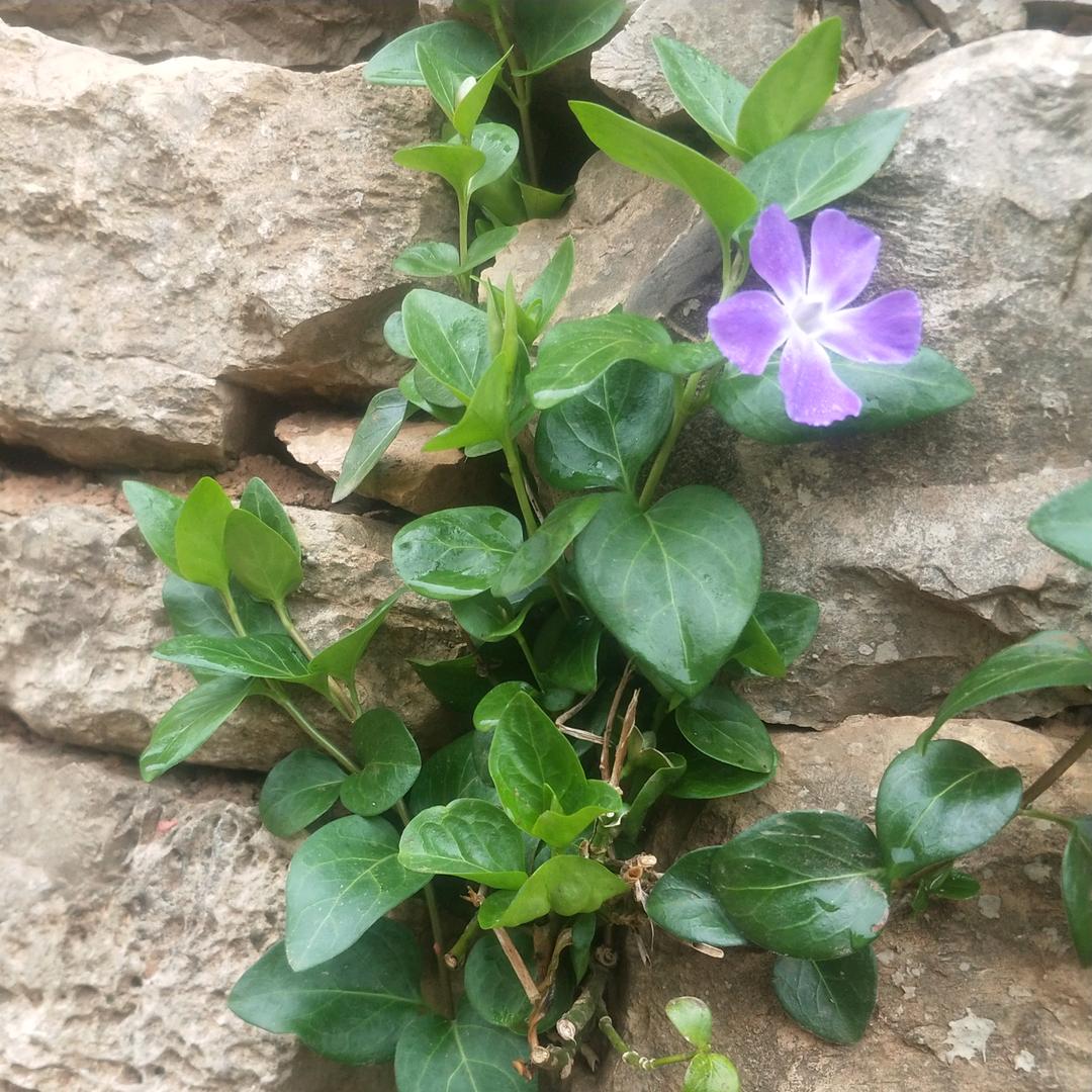 🍀沐沐