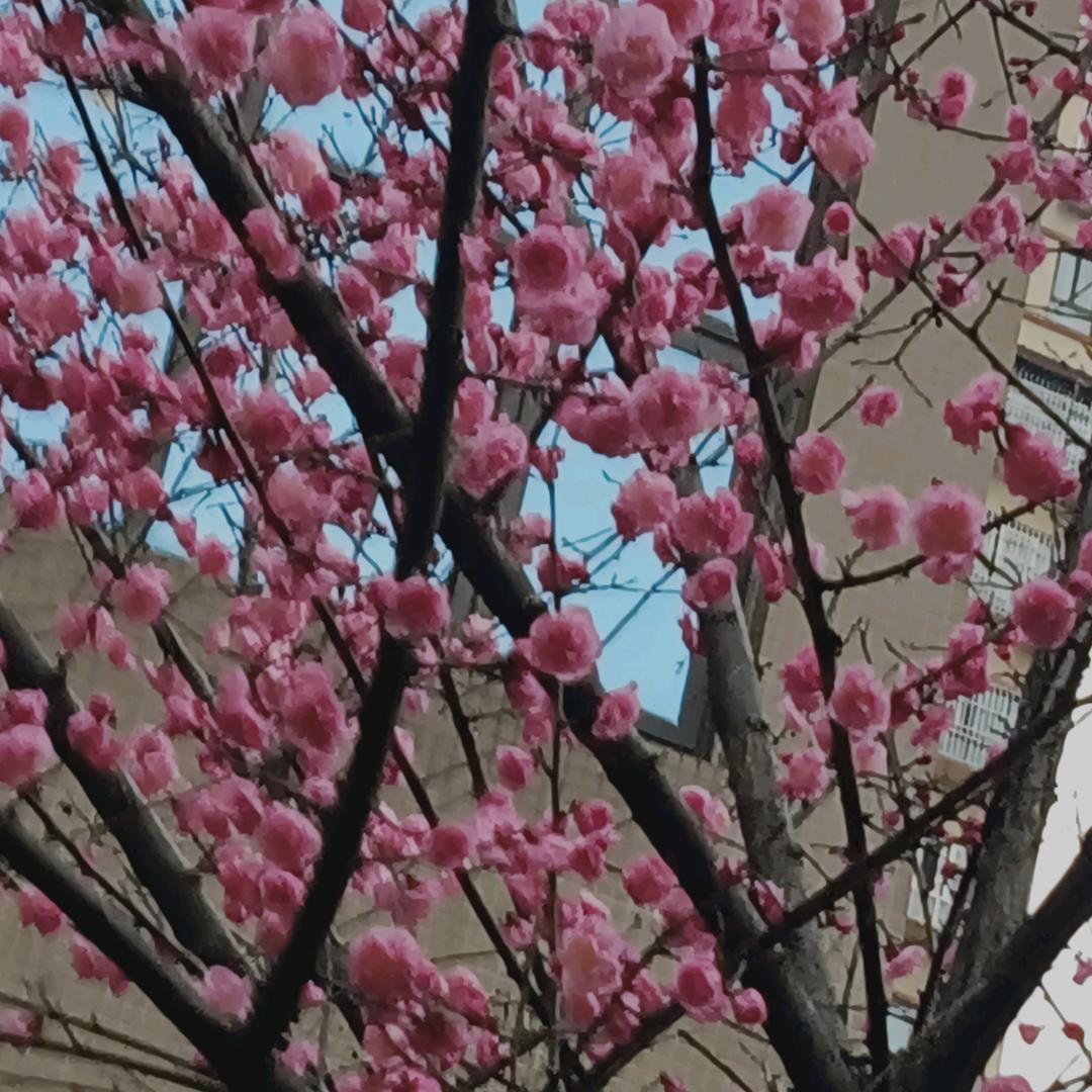 开心就好，没有烦恼୧⍤⃝🍉