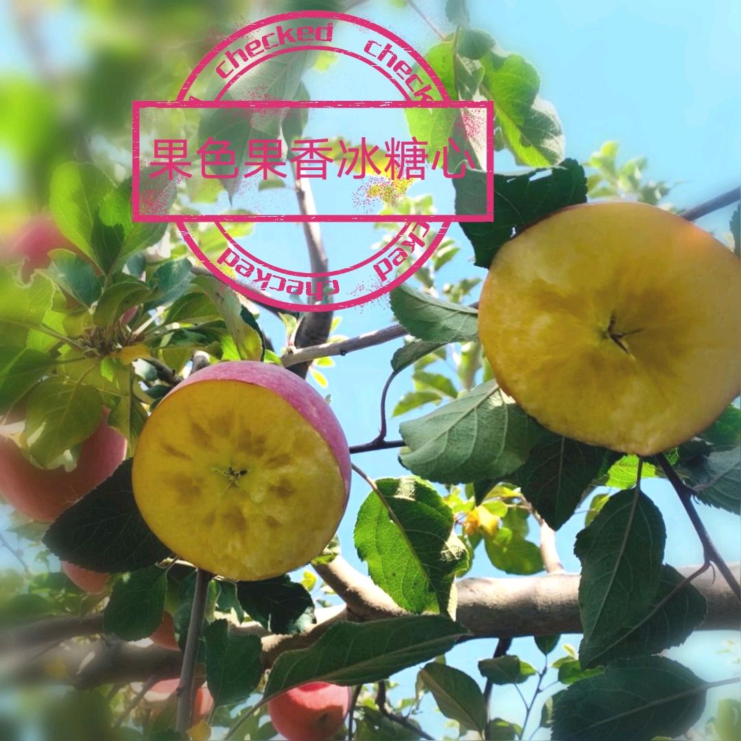 🍎果色果香农产销售