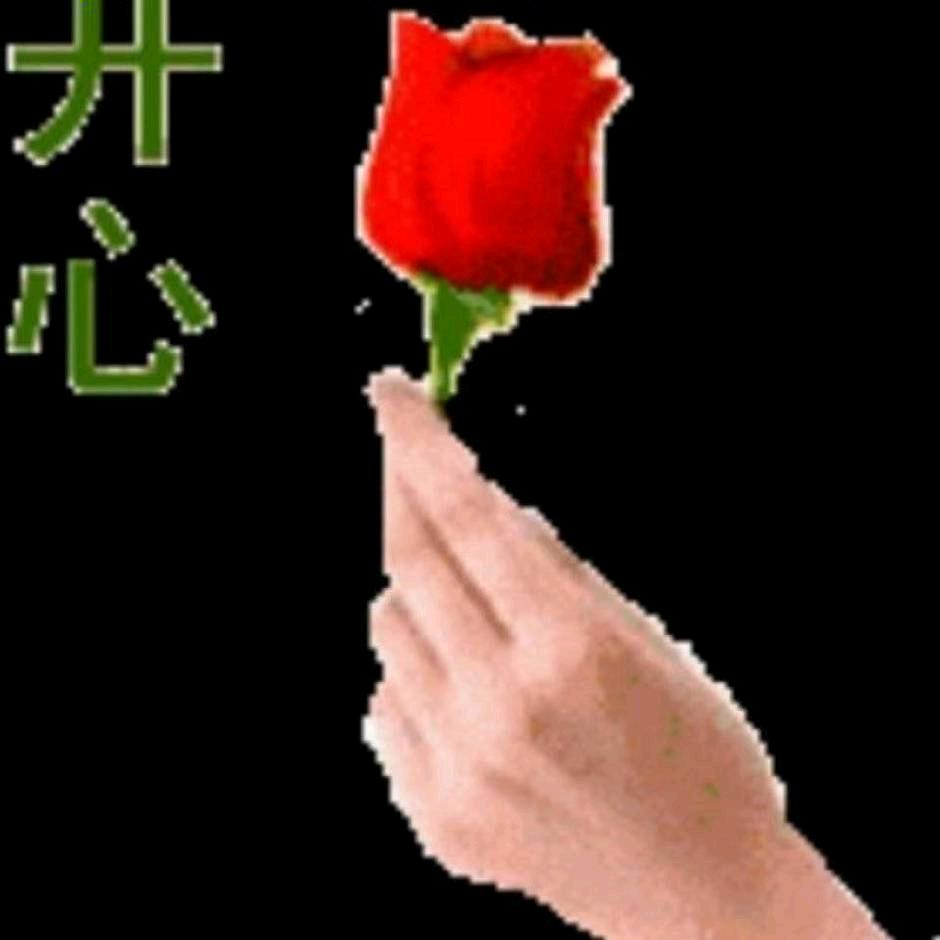 毛姐