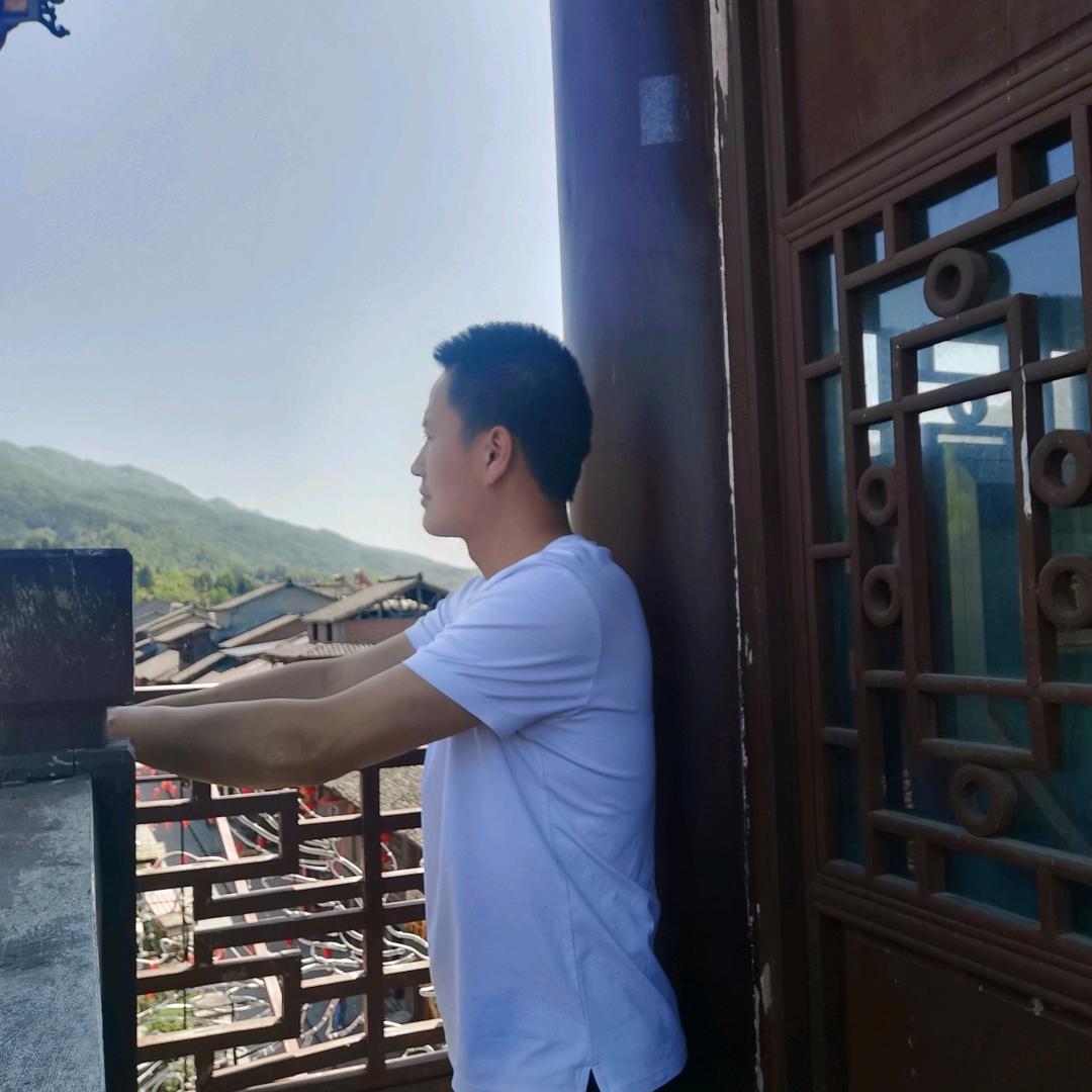 高贵的狗狗