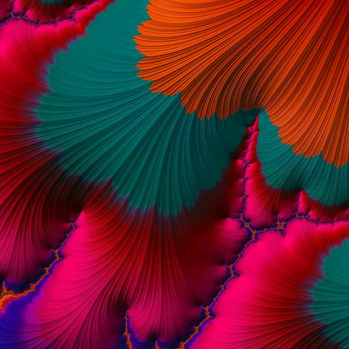 🌹拍手起家🌹