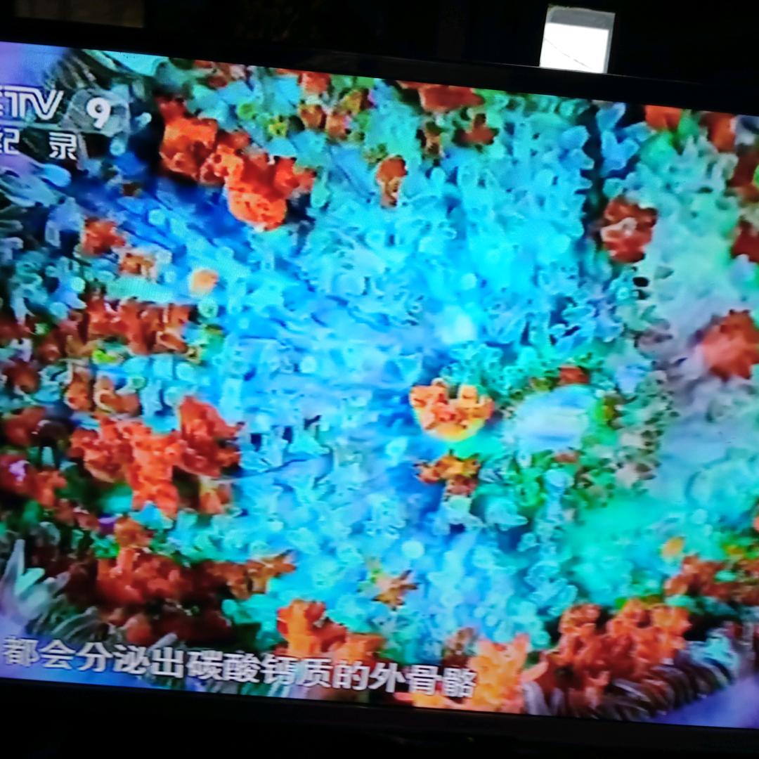 敏