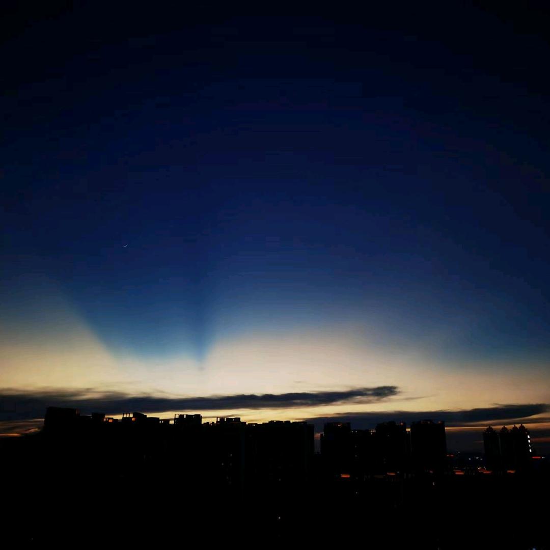 小狼蚁是灰灰啊