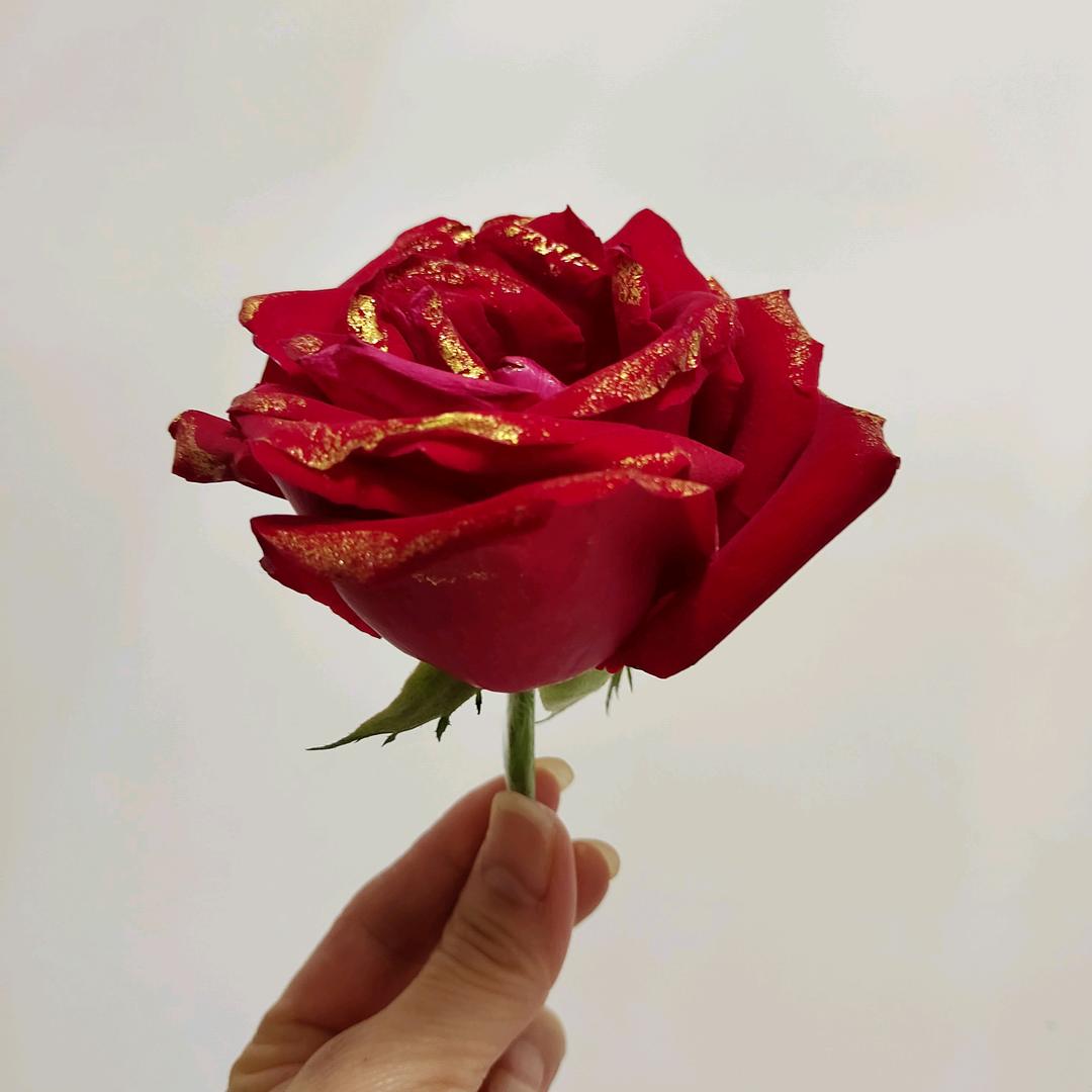晨姐🌹☕️