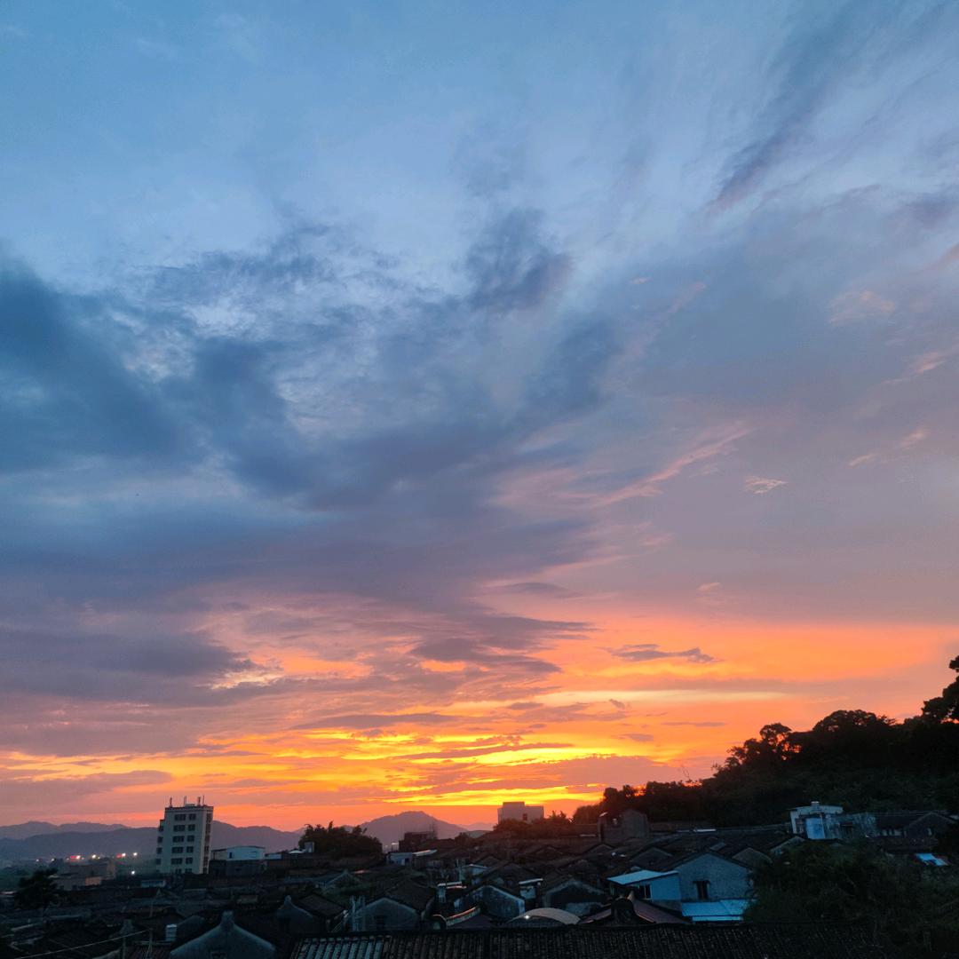 旋茂