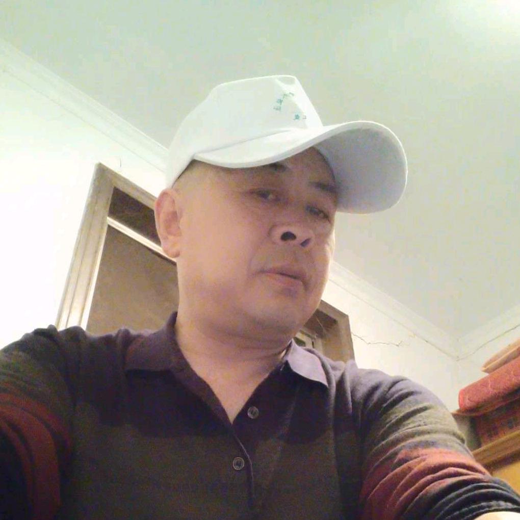 大漠孤雁