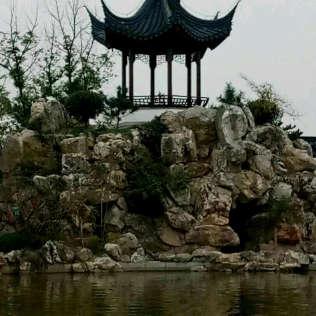 香樟树