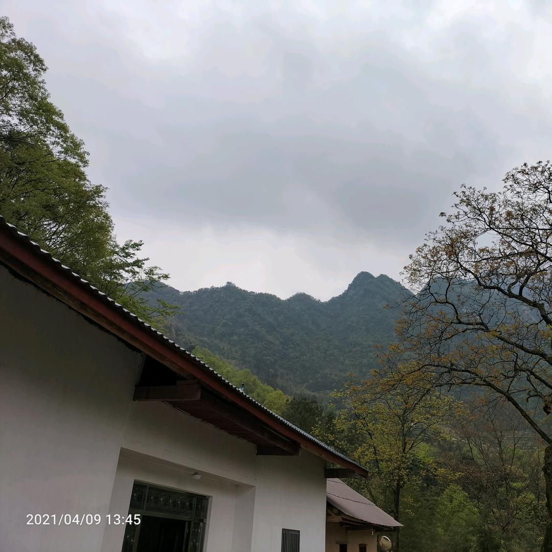曾经沧海难为水