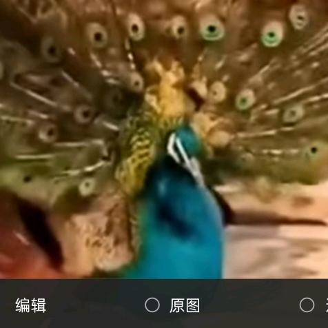相思
