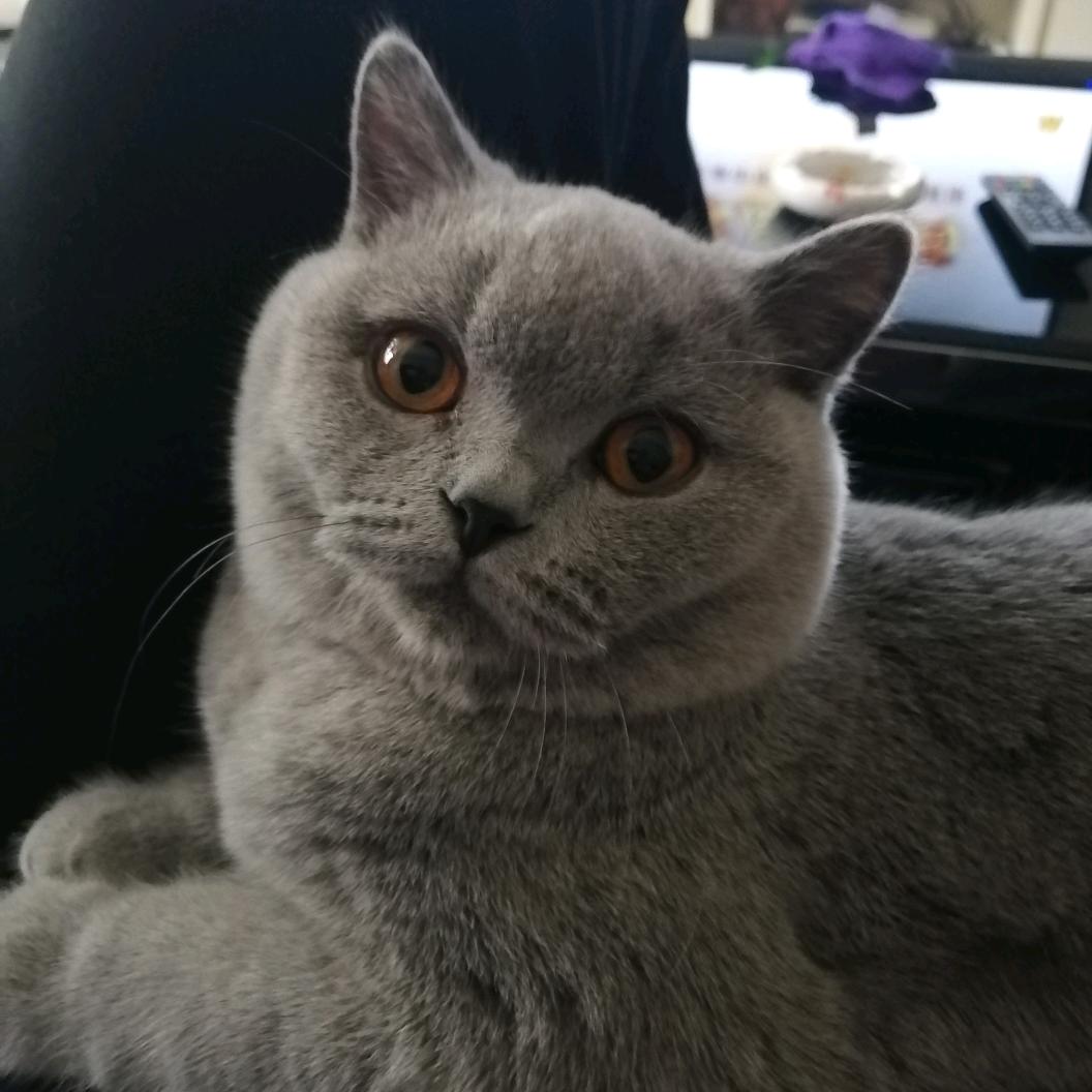 艺邦设计