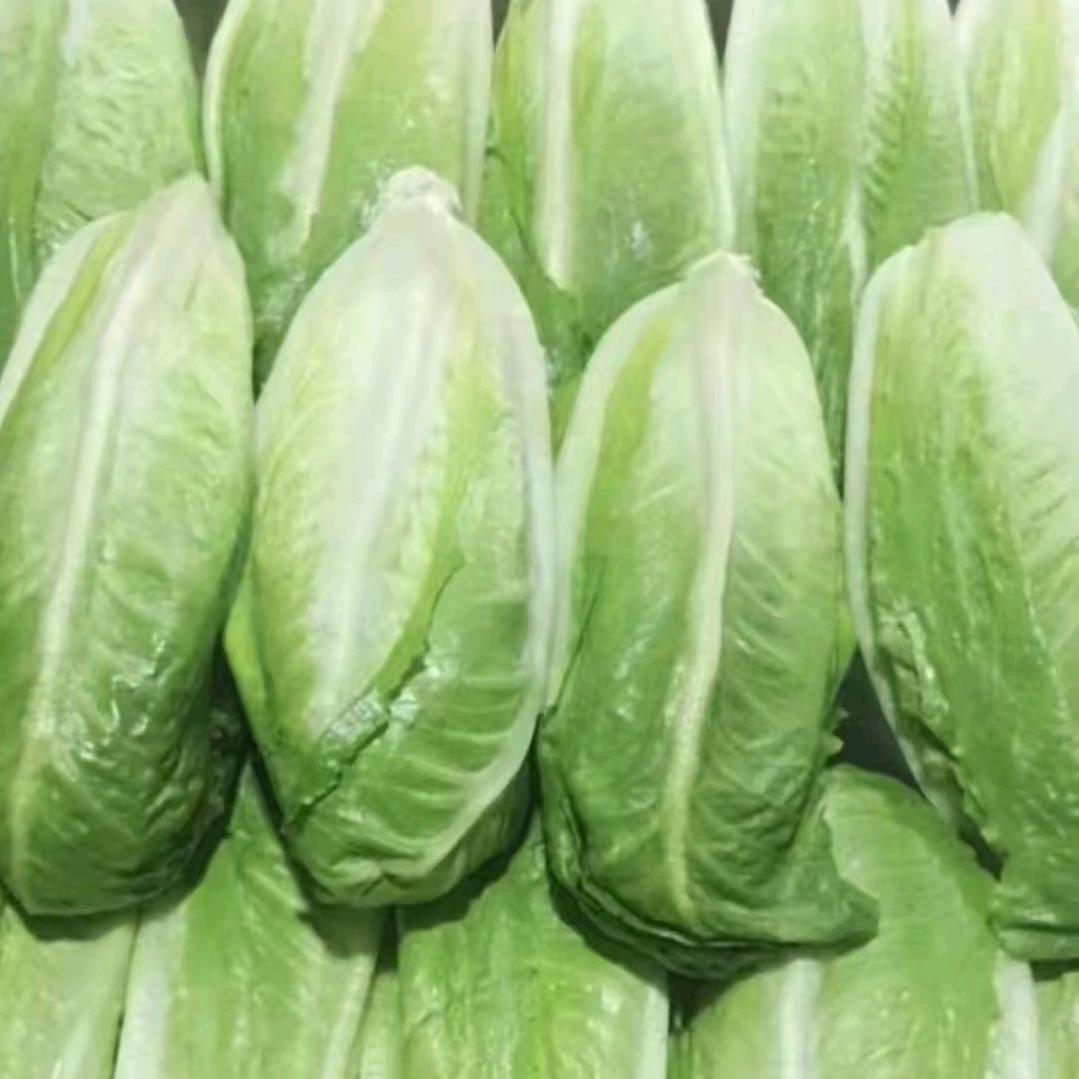 优生鲜(专业精品细菜批发 零售)