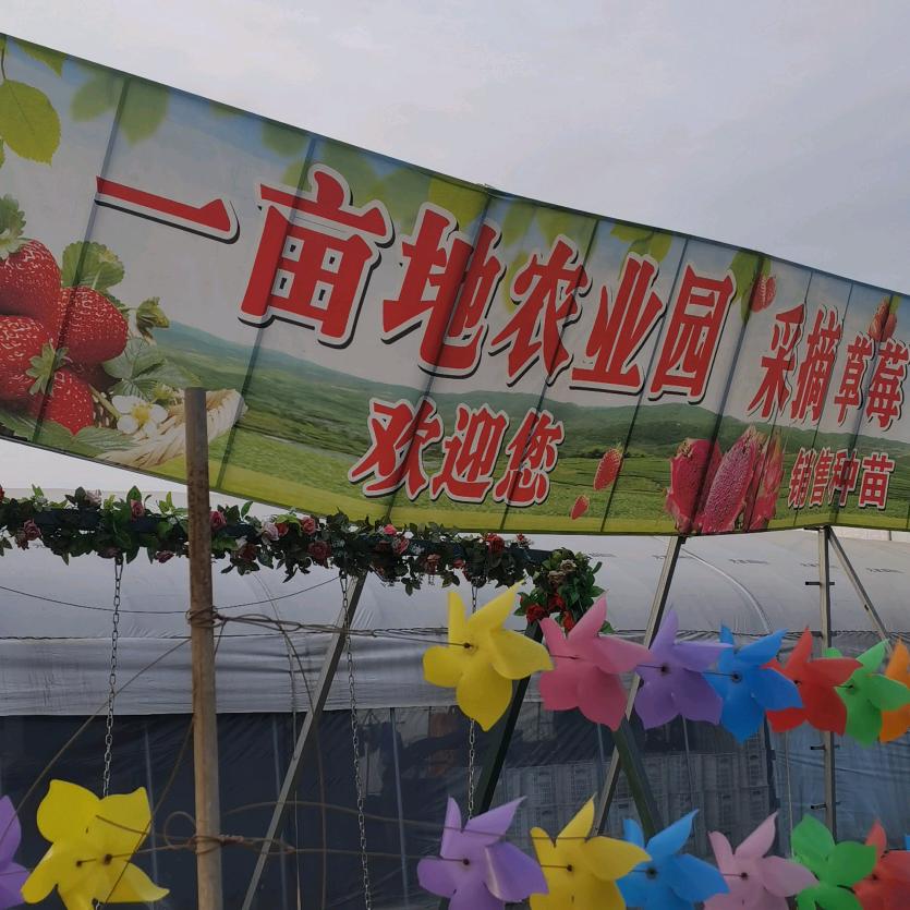 一亩地农业园官方号